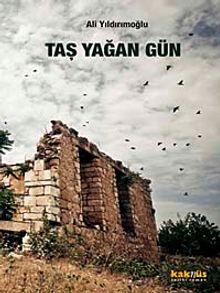 Taş Yağan Gün - Ali Yıldırımoğlu PDF İndir