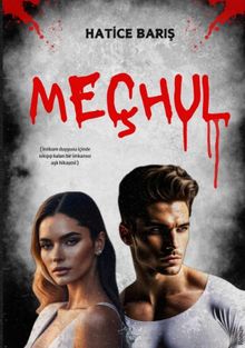 Meçhul - Hatice Barış PDF İndir