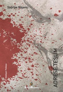 Adrese Teslim - Sabriye Nişancı PDF İndir