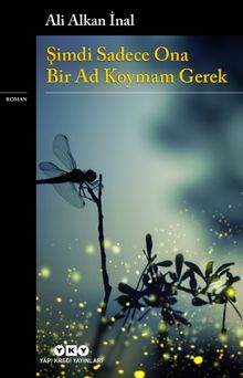 Şimdi Sadece Ona Bir Ad Koymam Gerek - Ali Alkan İnal PDF İndir