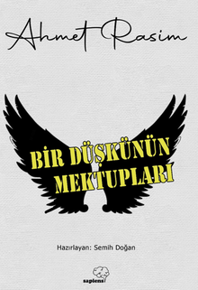 Bir Düşkünün Mektupları - Ahmet Rasim