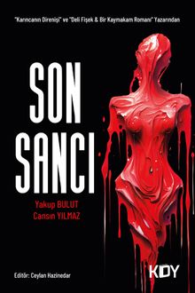Son Sancı - Yakup Bulut PDF İndir
