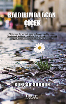 Kaldırımda Açan Çiçek PDF İndir
