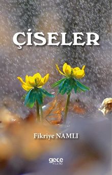 Çiseler PDF İndir