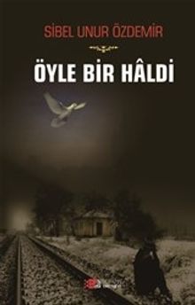 Öyle Bir Haldi - Sibel Unur Özdemir PDF İndir