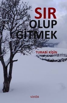 Sır Olup Gitmek - Turabi Kişin PDF İndir