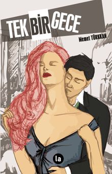 Tek Bir Gece - Memet Türkkan PDF İndir