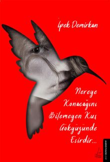 Nereye Konacağını Bilemeyen Kuş Gökyüzünde Esirdir - İpek Demirkan PDF İndir