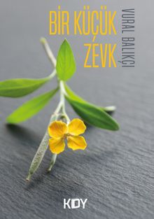 Bir Küçük Zevk - Vural Balıkçı PDF İndir