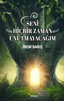Seni Hiçbir Zaman Unutmayacağım - İrem Barış PDF İndir
