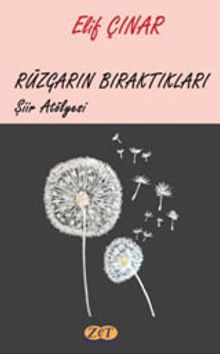 Rüzgarın Bıraktıkları - Elif Çınar