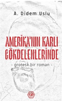 Amerika'nın Karlı Gökdelenlerinde - A. Didem Uslu PDF İndir