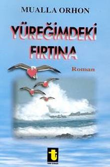 Yüreğimdeki Fırtına PDF İndir