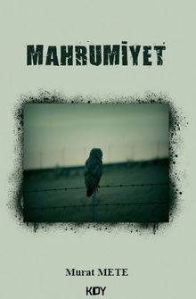 Mahrumiyet - Murat Mete PDF İndir