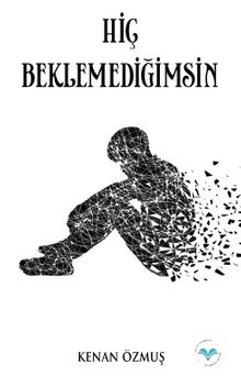 Hiç Beklemediğimsin PDF İndir