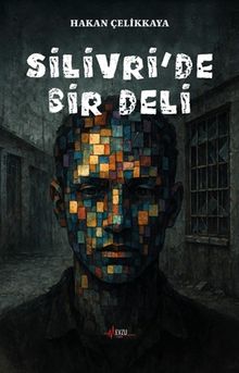 Silivri'de Bir Deli - Hakan Çelikkaya PDF İndir