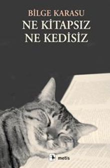Ne Kitapsız, Ne Kedisiz - Bilge Karasu