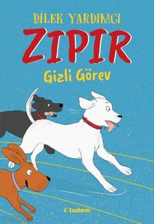 Zıpır Gizli Görev - Dilek Yardımcı PDF İndir
