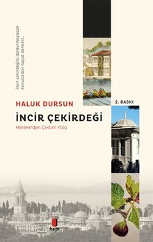 İncir Çekirdeği - Prof. Dr. A. Haluk Dursun PDF İndir
