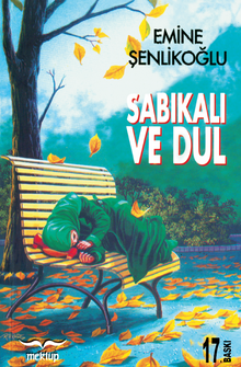 Sabıkalı ve Dul - Emine Şenlikoğlu