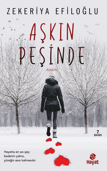 Aşkın Peşinde - Zekeriya Efiloğlu
