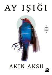 Ay Işığı - Akın Aksu PDF İndir