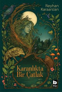 Karanlıkta Bir Çatlak - Reyhan Karaarslan