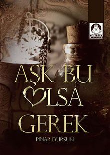 Aşk Bu Olsa Gerek - Pınar Dursun PDF İndir