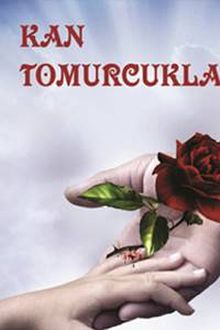 Kan Tomurcukları - Halil Cice PDF İndir