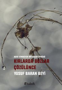 Kırlarda Buzlar Çözülünce - Yusuf Baran Beyi PDF İndir