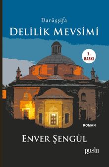 Darüşşifa  Delilik Mevsimi - Enver Şengül PDF İndir