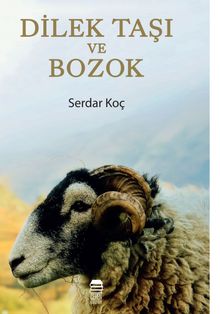 Dilek Taşı ve Bozok - Serdar Koç PDF İndir