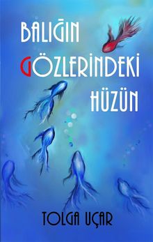 Balığın Gözlerindeki Hüzün - Tolga Uçar PDF İndir