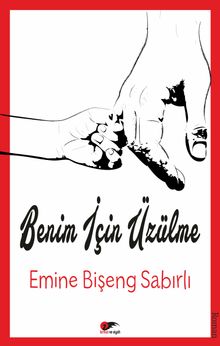 Benim İçin Üzülme - Emine Bişeng Sabırlı PDF İndir