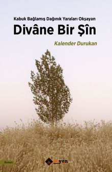 Divane Bir Şin PDF İndir
