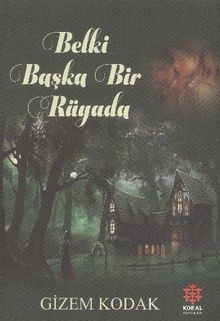 Belki Başka Rüyada - Gizem Kodak PDF İndir