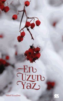 En Uzun Yaz - Yüksel Kocadoru PDF İndir