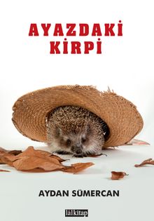 Ayazdaki Kirpi - Aydan Sümercan
