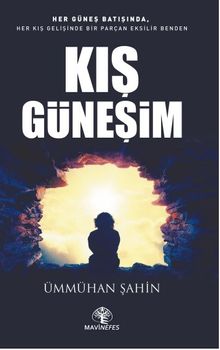 Kış Güneşim - Ümmühan Şahin PDF İndir
