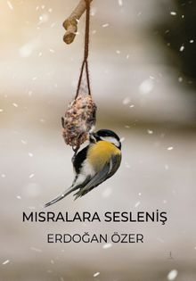 Mısralara Sesleniş - Erdoğan Özer PDF İndir