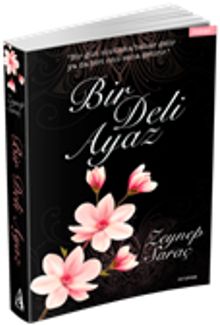 Bir Deli Ayaz - Zeynep Saraç PDF İndir