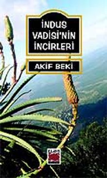 İndus Vadisi'nin İncirleri - M. Akif Beki PDF İndir