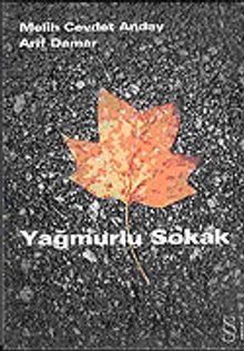 Yağmurlu Sokak PDF İndir
