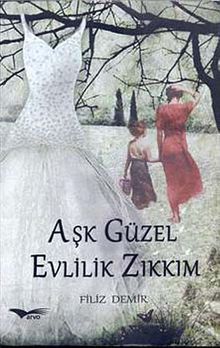 Aşk Güzel Evlilik Zıkkım - Filiz Demir PDF İndir