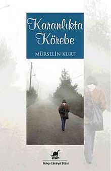 Karanlıkta Körebe - Mürselin Kurt PDF İndir