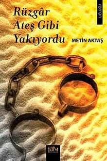 Rüzgar Ateş Gibi Yakıyordu - Metin Aktaş