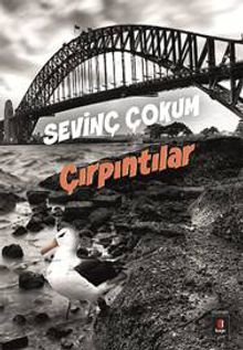 Çırpıntılar - Sevinç Çokum