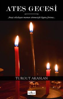 Ateş Gecesi - Turgut Akaslan PDF İndir