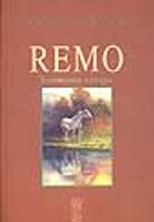 Remo 'Bitmeyen Sorgu' - Sedat Yurtdaş PDF İndir