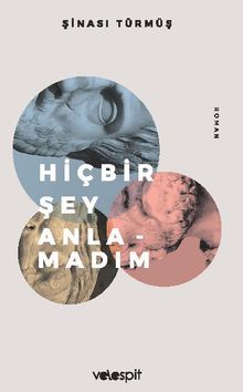 Hiçbir Şey Anlamadım - Şinasi Türmüş PDF İndir